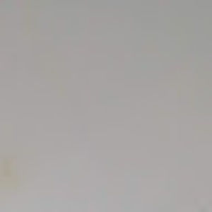 Meet your Posher, Sierra ann